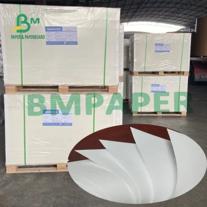 250gsm ντυμένη φωτεινή κάρτα greaseproof Deli βαθμού τροφίμων που τυλίγει το τεράστιο έγγραφο