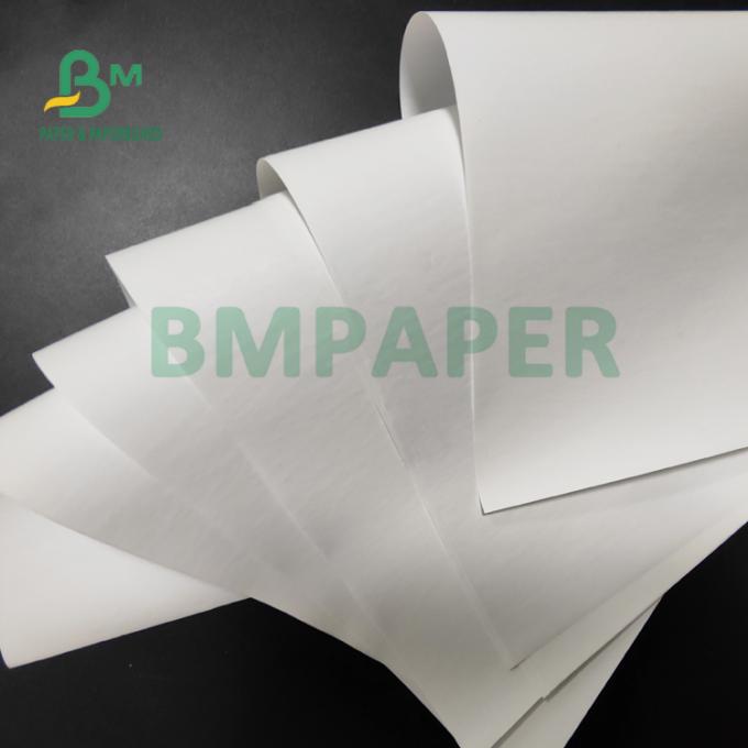 55gsm τεράστιο θερμικό έγγραφο ρόλων για POS τους εκτυπωτές 565mm X 6000m καλή ανθεκτικότητα