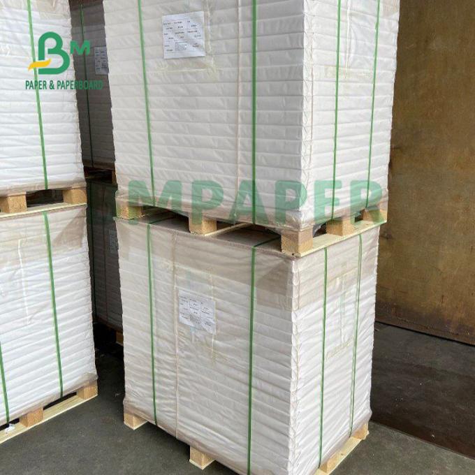 80gsm ημι - στιλπνό αυτοκόλλητο θερμικό έγγραφο για την ετικέτα 70 X 100cm ιατρικής