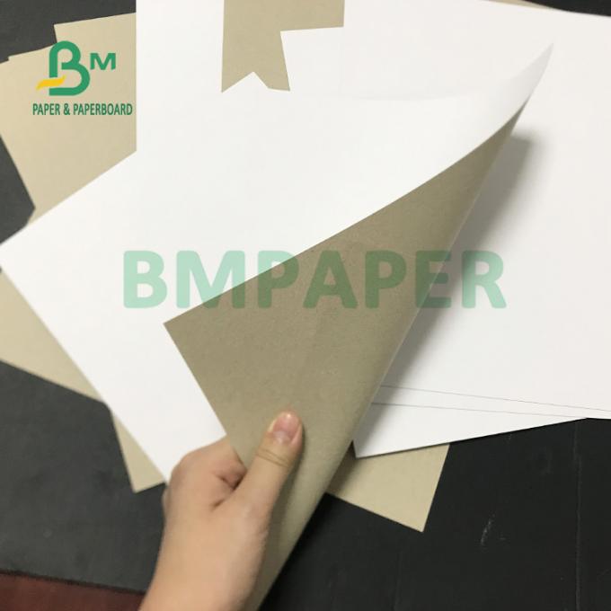 γκρίζα πλάτη πολτού C1S 230gsm ανακυκλωμένη 250gsm για τη συσκευασία ιατρικής