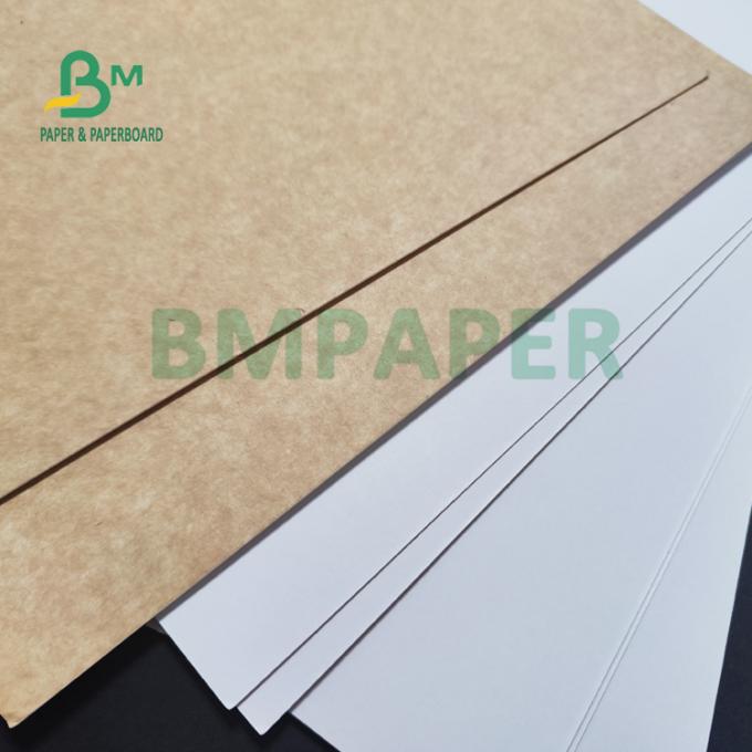 325gsm ομοιόμορφο άσπρο ντυμένο πίσω έγγραφο της Kraft για το ψωμί 70 X 100cm συσκευασίας