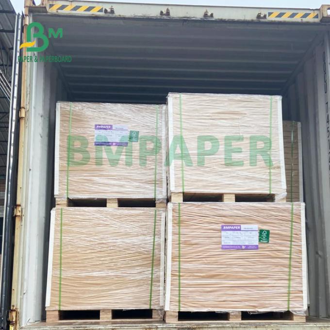 1.0mm 1.2mm χωρίς επίστρωση απορροφητικό Blotter Papel για τα χαλιά 615mm X 860mm μπύρας