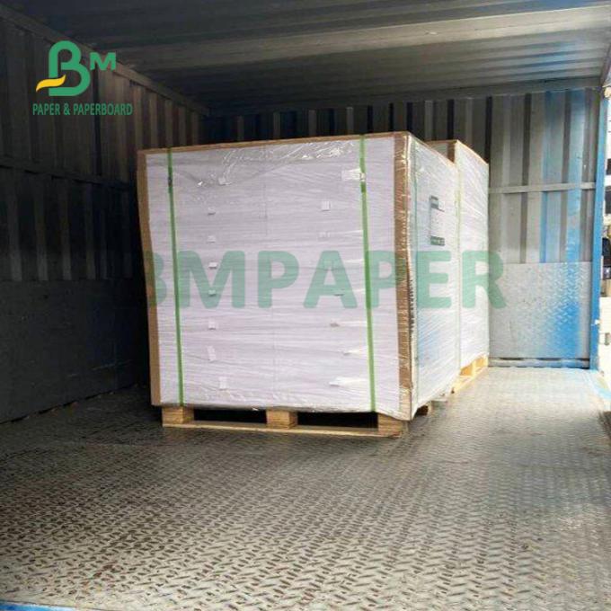 210gsm+15gsm καλή φωτεινότητα 615mm X 850mm ντυμένου εγγράφου ταινιών PE φλυτζανιών