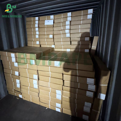 80gr Γεννητικό Χάρτη Πλάττερ ROLLO BOND Για CAD Σχεδίαση 0,61 x 50MT