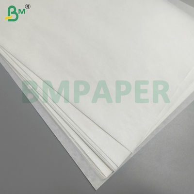 Χάρτινη αδιάβροχη προστατευτική σακούλα φρούτων και λαχανικών μακριά από παράσιτα και πουλιά