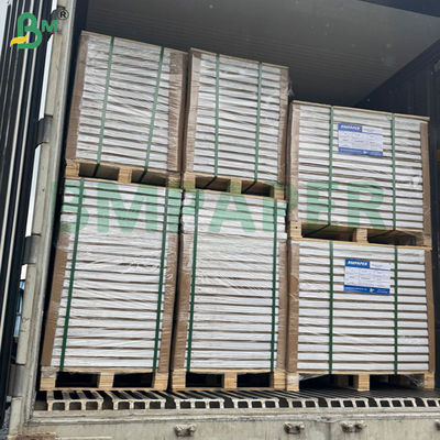 300g 350g 900mm 1000mm Εκτυπώσιμο Χαρτί Αναδιπλούμενο Ανθεκτικό στον Παγετό για Κουτί Κατεψυγμένων Τροφίμων