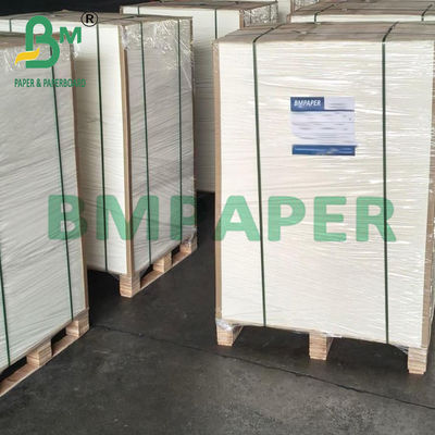 Χαρτί Απορρόφησης 0,7mm Πάχους, Οικολογικό, Υψηλής Απορροφητικότητας για Εκτύπωση