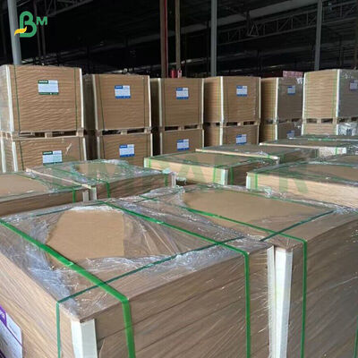 Χαρτί κυπέλλων από χαρτί κραφτ μπαμπού 260GSM+ 18GSM FDA Degradable με επίστρωση PE / PLA