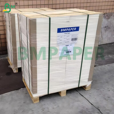 100lb 270gsm Λευκό Ακατέργαστο Λείο Bristol Board 22" x 30"