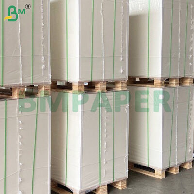 Φύλλα θερμικού χαρτιού 55gsm/65gsm κατάλληλα για χρήση σε εξωτερικούς χώρους POS