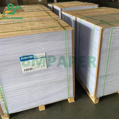 Ντυμένο μεταλλίνη μέγεθος 635mm X 900mm εγγράφου 80G 90G 100G 115G C2S στιλπνό
