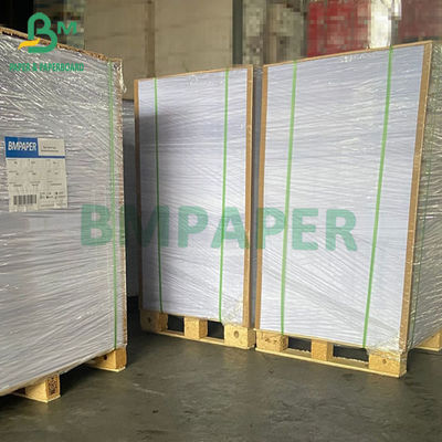 ρόλος 635mm 700mm 914mm 1000mm 230gsm 250gsm 300gsm C1S Artboard ευρύ