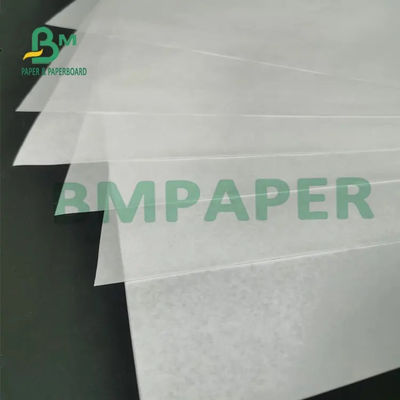 ελεύθερος χωρίς επίστρωση ρόλων BPA εγγράφου 55g 65g 70g άσπρος θερμικός για το αρχείο