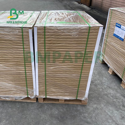 άσπρος ρόλος εγγράφου ψυκτήρων 325gsm 350gsm για τη συσκευασία παγωμένων τροφίμων 37 υψηλός όγκος της» X.25»