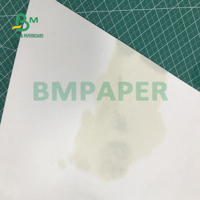 ο πίνακας ακτοφυλάκων φλυτζανιών 280gsm 300gsm έξοχος απορροφά την υγρή απόδοση