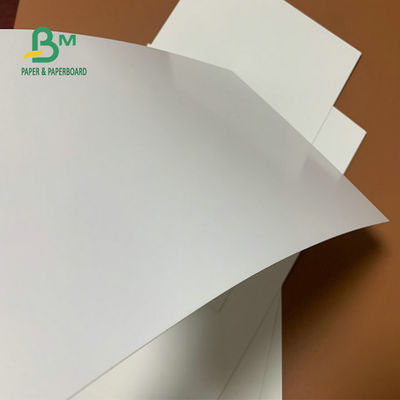 Λευκός τοπ λευκός πίσω πίνακας 190g 210g εγγράφου SBS για το δίπλωμα του κιβωτίου