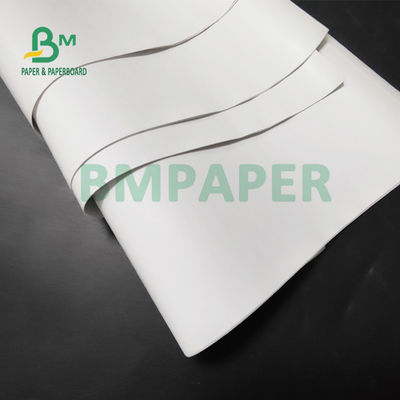 55gsm τεράστιο θερμικό έγγραφο ρόλων για POS τους εκτυπωτές 565mm X 6000m