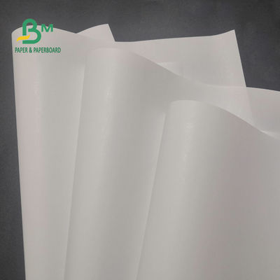 ελεύθερος θερμικός ρόλος εγγράφου 65gsm BPA για τη σαφή εικόνα 600mm X 9000m καταλόγων μετρητών