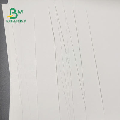 ελεύθερος θερμικός ρόλος εγγράφου 65gsm BPA για τη σαφή εικόνα 600mm X 9000m καταλόγων μετρητών