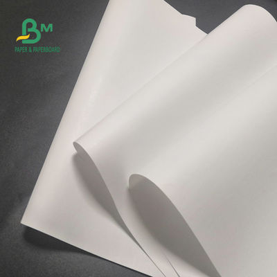 ελεύθερος θερμικός ρόλος εγγράφου 65gsm BPA για τη σαφή εικόνα 600mm X 9000m καταλόγων μετρητών