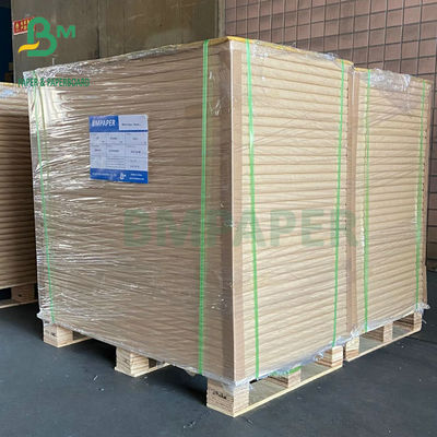 25 X 36 στιλπνού ίντσες εγγράφου 250gsm 300gsm 350gsm GC2 C2S για την εκτύπωση όφσετ
