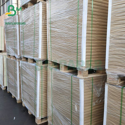 25 X 36 στιλπνού ίντσες εγγράφου 250gsm 300gsm 350gsm GC2 C2S για την εκτύπωση όφσετ