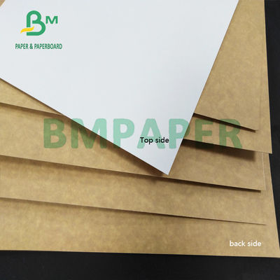 ντυμένη Kraft πίσω υγρασία εγγράφου 325gsm CCK άργιλος ανθεκτική για το δίπλωμα των κιβωτίων χαρτοκιβωτίων