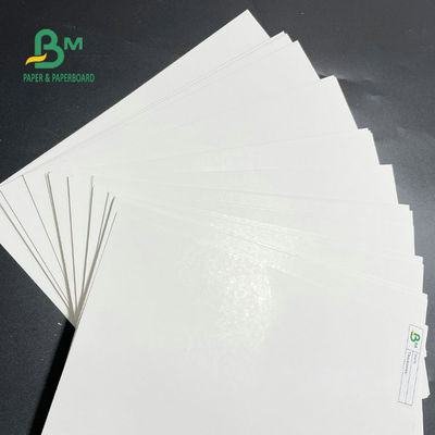 Μια πλευρά έντυσε το ρόλο 275gsm 325gsm εγγράφου ψυκτήρων για τα τρόφιμα συσκευασίας