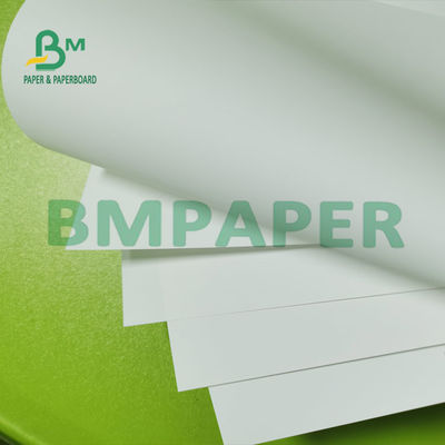PP συνθετικό έγγραφο εκτύπωσης Inkjet εγγράφου αδιάβροχο άθραυστο για το λεύκωμα
