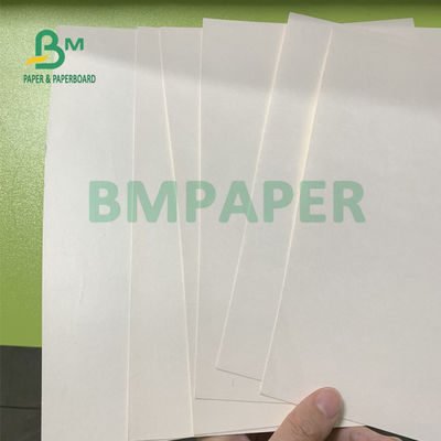 135gsm + πίνακας εγγράφου αποθεμάτων φλυτζανιών 15gsm Polycoated που διπλώνει την αντίσταση
