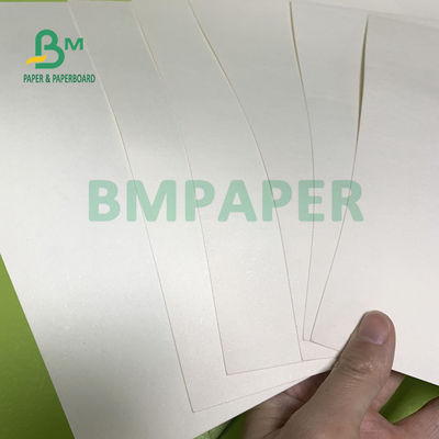 230gsm + χρηματοκιβώτιο πινάκων εγγράφου αποθεμάτων φλυτζανιών 18gsm καμία ειδικότητα μυρωδιάς για τα κύπελλα νουντλς