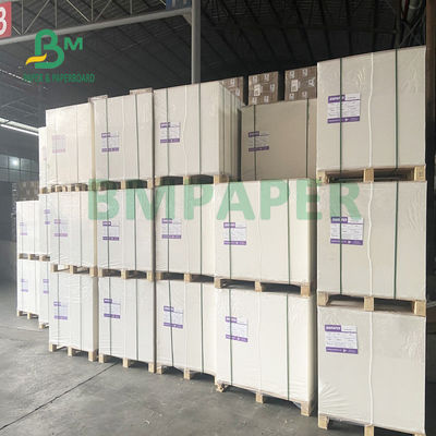 230gsm + χρηματοκιβώτιο πινάκων εγγράφου αποθεμάτων φλυτζανιών 18gsm καμία ειδικότητα μυρωδιάς για τα κύπελλα νουντλς