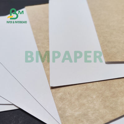 325gsm ομοιόμορφο άσπρο ντυμένο πίσω έγγραφο της Kraft για το ψωμί 70 X 100cm συσκευασίας