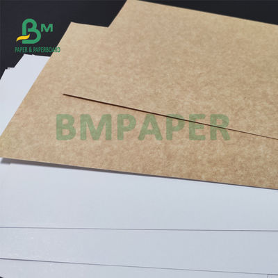 325gsm ομοιόμορφο άσπρο ντυμένο πίσω έγγραφο της Kraft για το ψωμί 70 X 100cm συσκευασίας