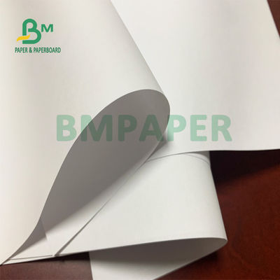 Χωρίς επίστρωση έγγραφο 50gsm 53gsm 55gsm Woodfree για τις σελίδες σημειωματάριων στο ρόλο