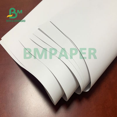 Χωρίς επίστρωση έγγραφο 50gsm 53gsm 55gsm Woodfree για τις σελίδες σημειωματάριων στο ρόλο