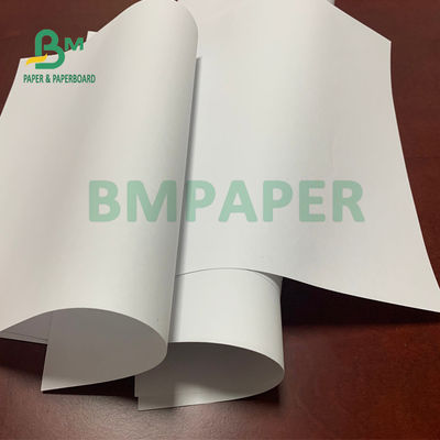 Χωρίς επίστρωση έγγραφο 50gsm 53gsm 55gsm Woodfree για τις σελίδες σημειωματάριων στο ρόλο