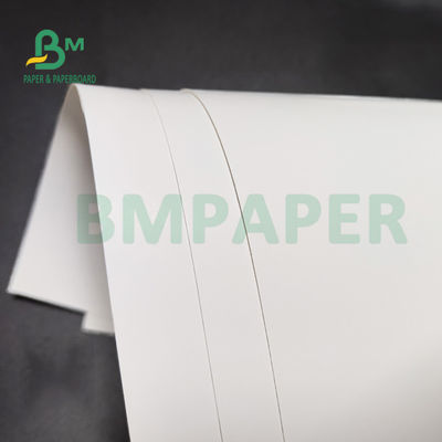 Ρόλος 1 δευτερεύον FBB άσπρο πίσω 350gsm 36» Χ 48» χαρτιού ψυκτήρων πολτού της Virgin για τη συσκευασία υγειονομικής περίθαλψης