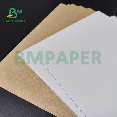 250gsm 300gsm C1S η Kraft έντυσε πίσω το διπλό πίνακα για το χρηματοκιβώτιο τροφίμων κιβωτίων σαλάτας