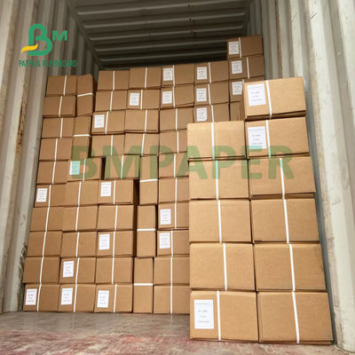 80gsm 440mm X 100m ενιαίο δευτερεύον έγγραφο σχεδιαγραμμάτων για την απεικόνιση σχεδίου