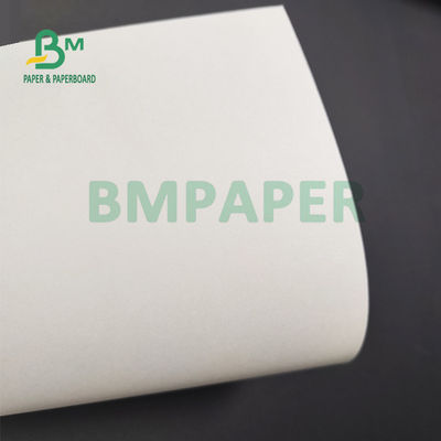 Στεγανοποιήστε 1 PE 2 ντυμένος PE πίνακας Cupstock για τον καφέ Eco φιλικά 900mm καφέ