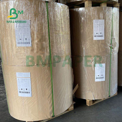 τοποθετημένο σε στρώματα PE χαρτόνι 210gsm +15g για το βαθμό τροφίμων φλυτζανιών εγγράφου 882mm