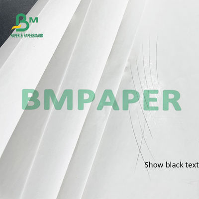 55 θερμικοί ρόλοι BPA εγγράφου εκτυπωτών παραλαβών GSM ελεύθεροι για POS