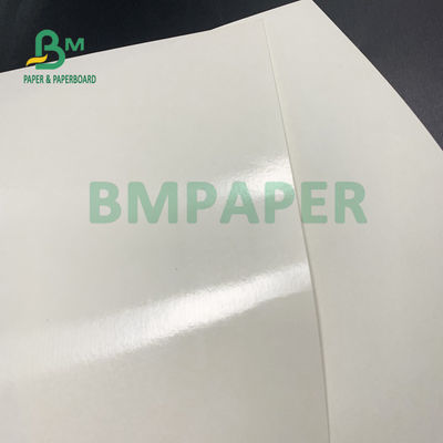 Ο βαθμός τροφίμων PE 135gsm+10gsm έντυσε το έγγραφο φλυτζανιών σχολιάζει και ματ τελειώστε