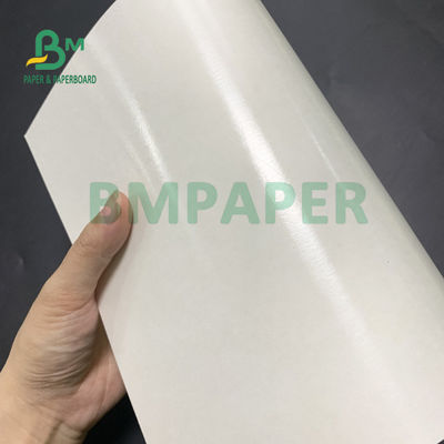 Ο βαθμός τροφίμων PE 135gsm+10gsm έντυσε το έγγραφο φλυτζανιών σχολιάζει και ματ τελειώστε