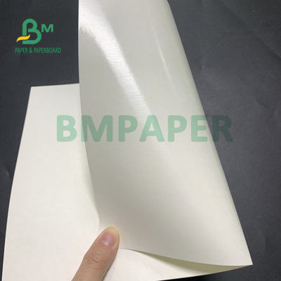 135gsm + ντυμένο έγγραφο βάσεων φλυτζανιών 20gsm πολυαιθυλένιο για το κύπελλο σούπας