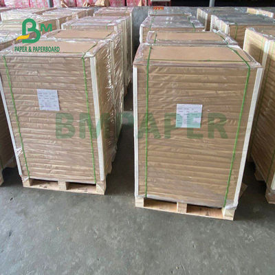 150gsm + ασφαλές ντυμένο PE έγγραφο βάσεων φλυτζανιών τροφίμων 10gsm για την κατανάλωση