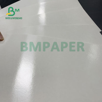 150gsm + ασφαλές ντυμένο PE έγγραφο βάσεων φλυτζανιών τροφίμων 10gsm για την κατανάλωση