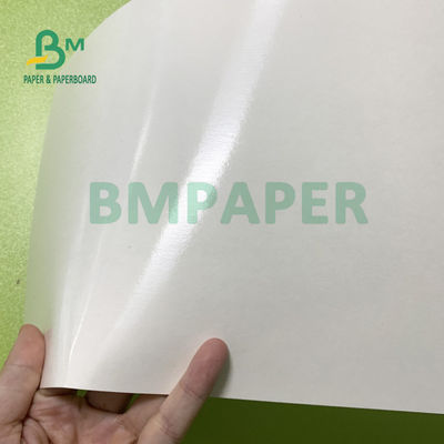 180gsm + ενιαία δευτερεύοντα ντυμένα PE φύλλα εγγράφου φλυτζανιών 18gsm αδιάβροχα