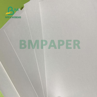 180gsm + ενιαία δευτερεύοντα ντυμένα PE φύλλα εγγράφου φλυτζανιών 18gsm αδιάβροχα